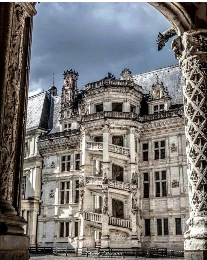 Appartement Porte Chartraine Blois Buitenkant foto
